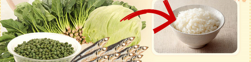 �ЂƂĂ܂� ��،����̂��q����ł����S���ĐH�ׂ���Q�S���Ԍ�����`���`���L�[�v1���T�C�g